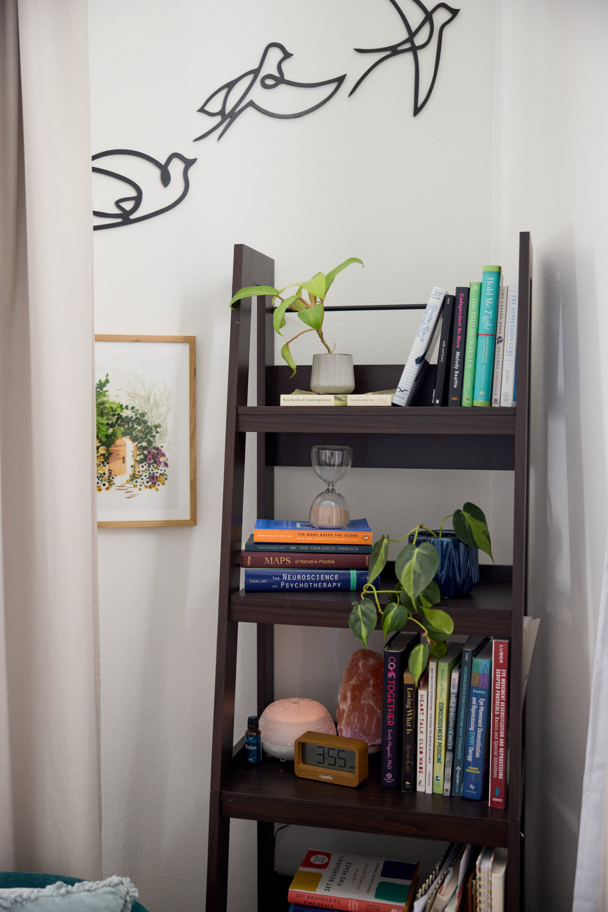 A calming corner of McKaley's Lubbock counseling office with bird wall art, plants, and books